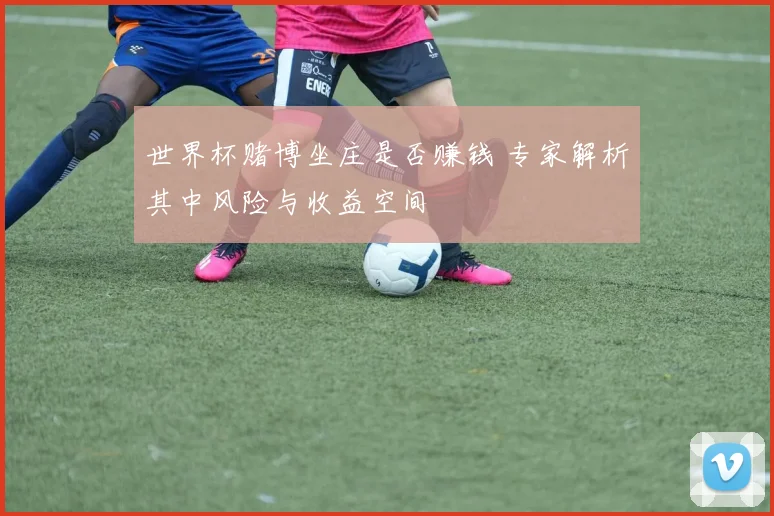 世界杯赌博坐庄是否赚钱 专家解析其中风险与收益空间