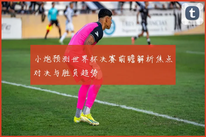 小炮预测世界杯决赛前瞻解析焦点对决与胜负趋势
